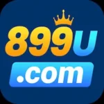 899U Game