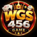 WGS456 Game