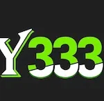 Y333 Game