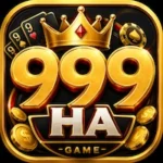 999ha Game